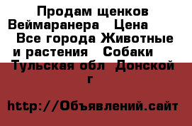 Продам щенков Веймаранера › Цена ­ 30 - Все города Животные и растения » Собаки   . Тульская обл.,Донской г.